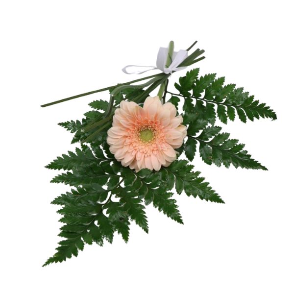 Handbukett_germini[1]