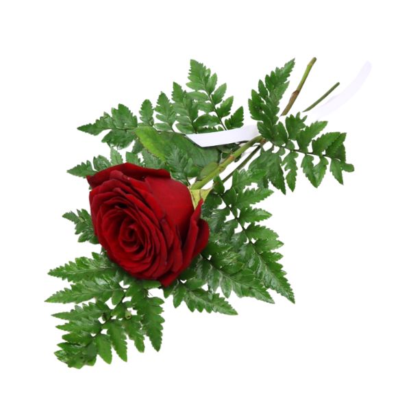 Handbukett_rödros[1]