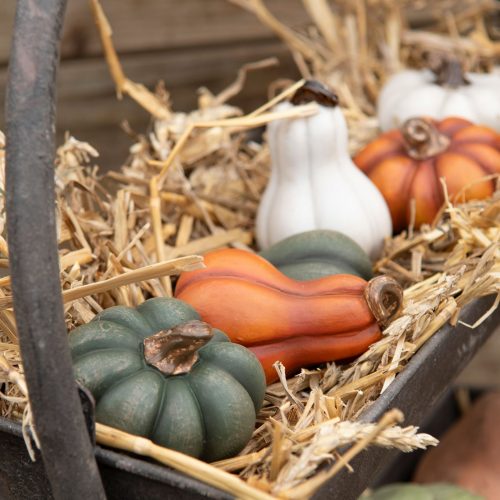 Dekorationspumpa mini grön 5x8 cm – höstdekoration