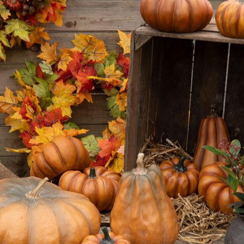 Avlång dekorationspumpa 24 cm