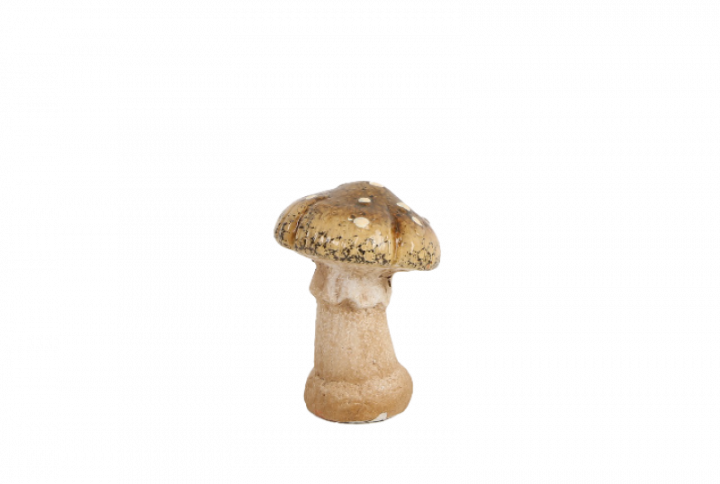 Brun/beige dekorationssvamp i keramik 7x9 cm